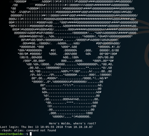 Waldo ASCII