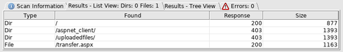 Dirbuster Results