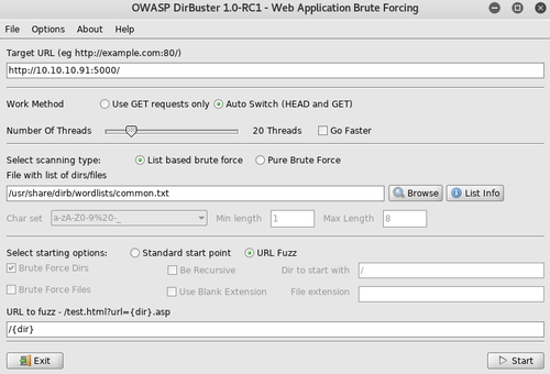 Dirbuster Settings