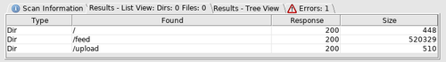Dirbuster Results